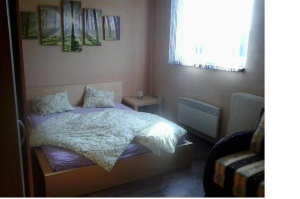 Apartmány pod Landštejnem Stare Mesto  Habitación foto