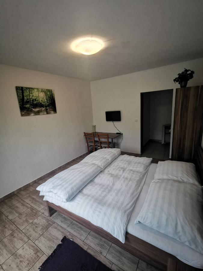 Apartmány pod Landštejnem Stare Mesto  Exterior foto